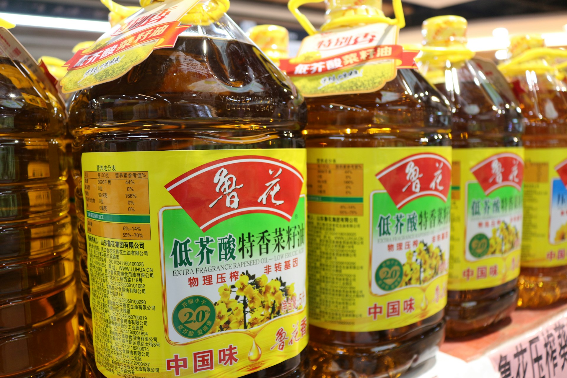 olio da cucina esausto