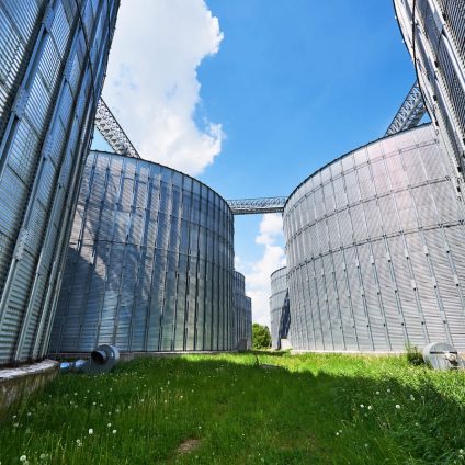 Rinnovabili • Biocombustibili: Ok al nuovo sistema nazionale di certificazione della sostenibilità