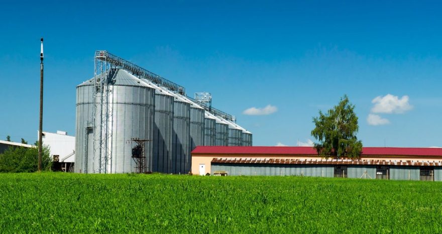 Rinnovabili • Decalogo per un'industria agroalimentare sicura e sostenibile