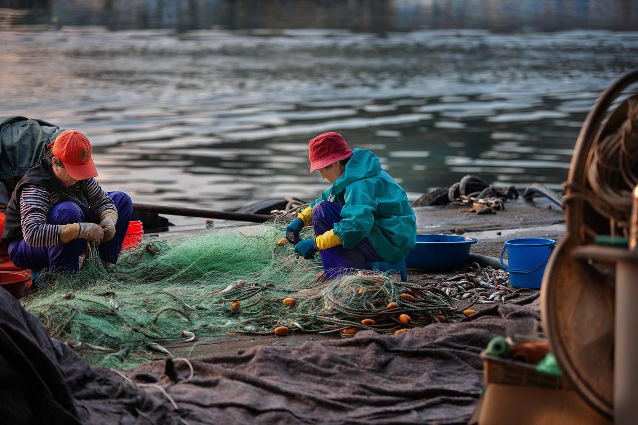 La pesca nei mari europei incide sulla salute degli ecosistemi