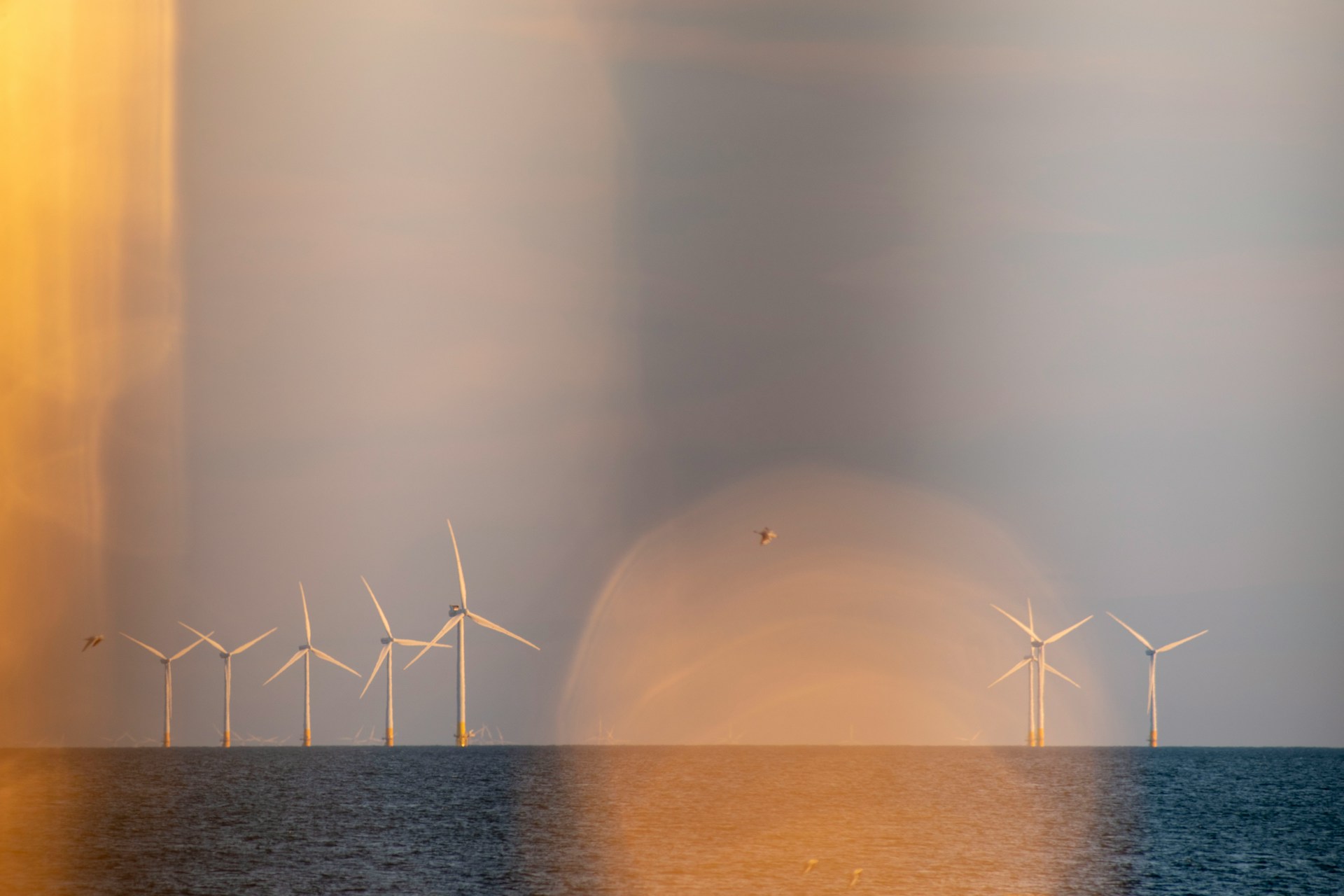 GWEC: eolico mondiale da record, +117 GW installati nel 2024