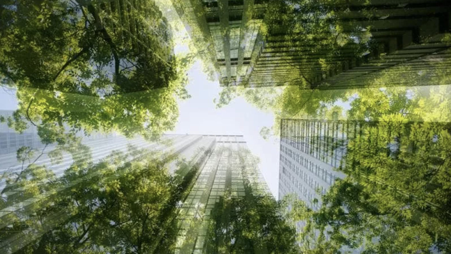 Schneider Electric per la transizione energetica alla Climate Week NYC