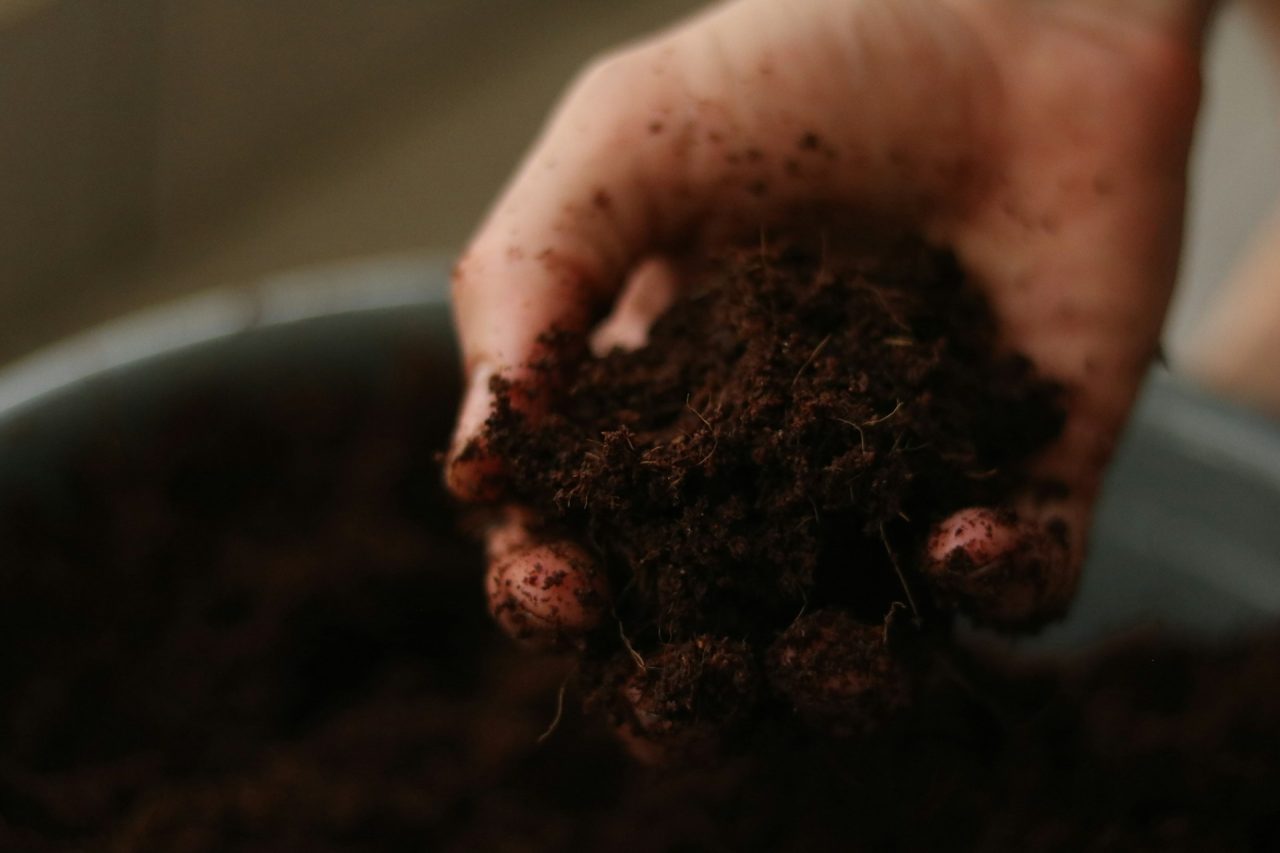 Rinnovabili • fertilizzante naturale