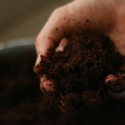 Rinnovabili • fertilizzante naturale