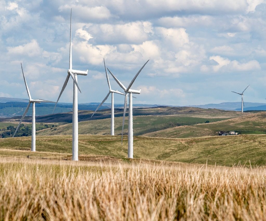 DL 175/2025, le criticità secondo Coordinamento FREE