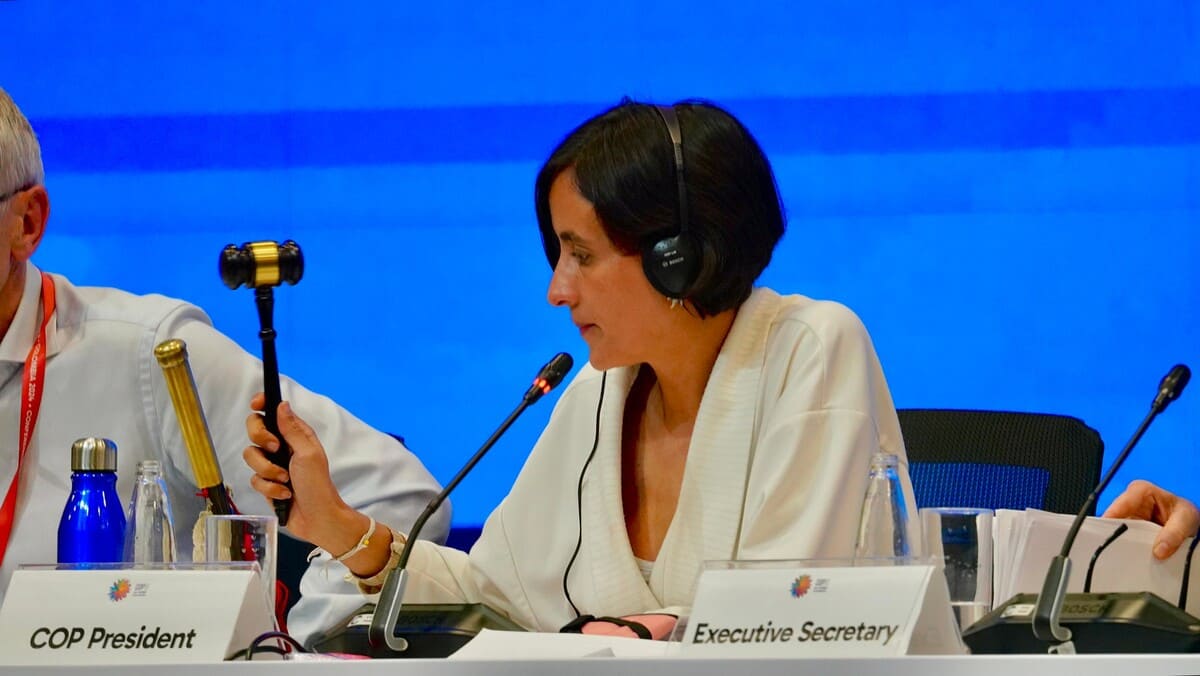 Cop16 Biodiversità: tutti gli accordi per la difesa della natura