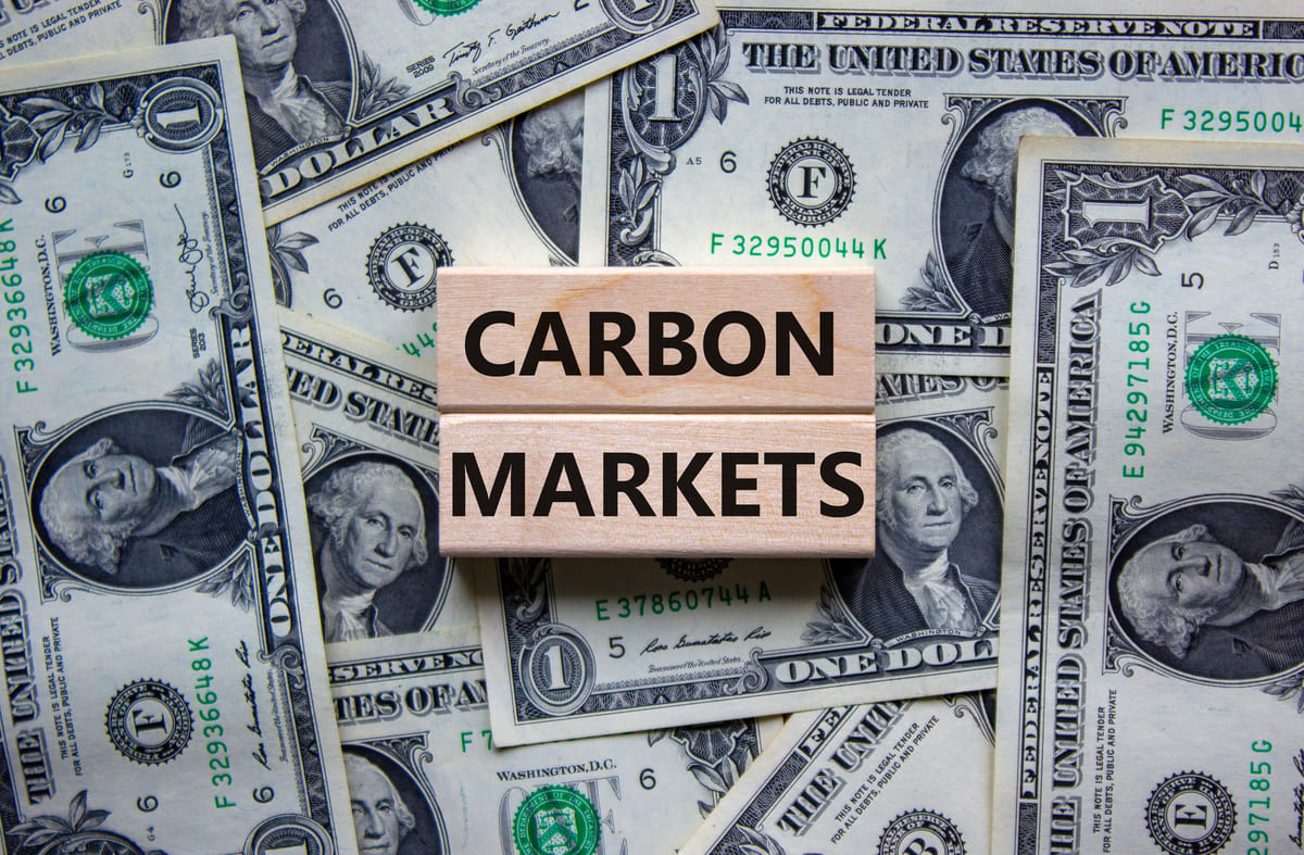 Risultati COP29 mercati del carbonio: tutte le decisioni sull’articolo 6