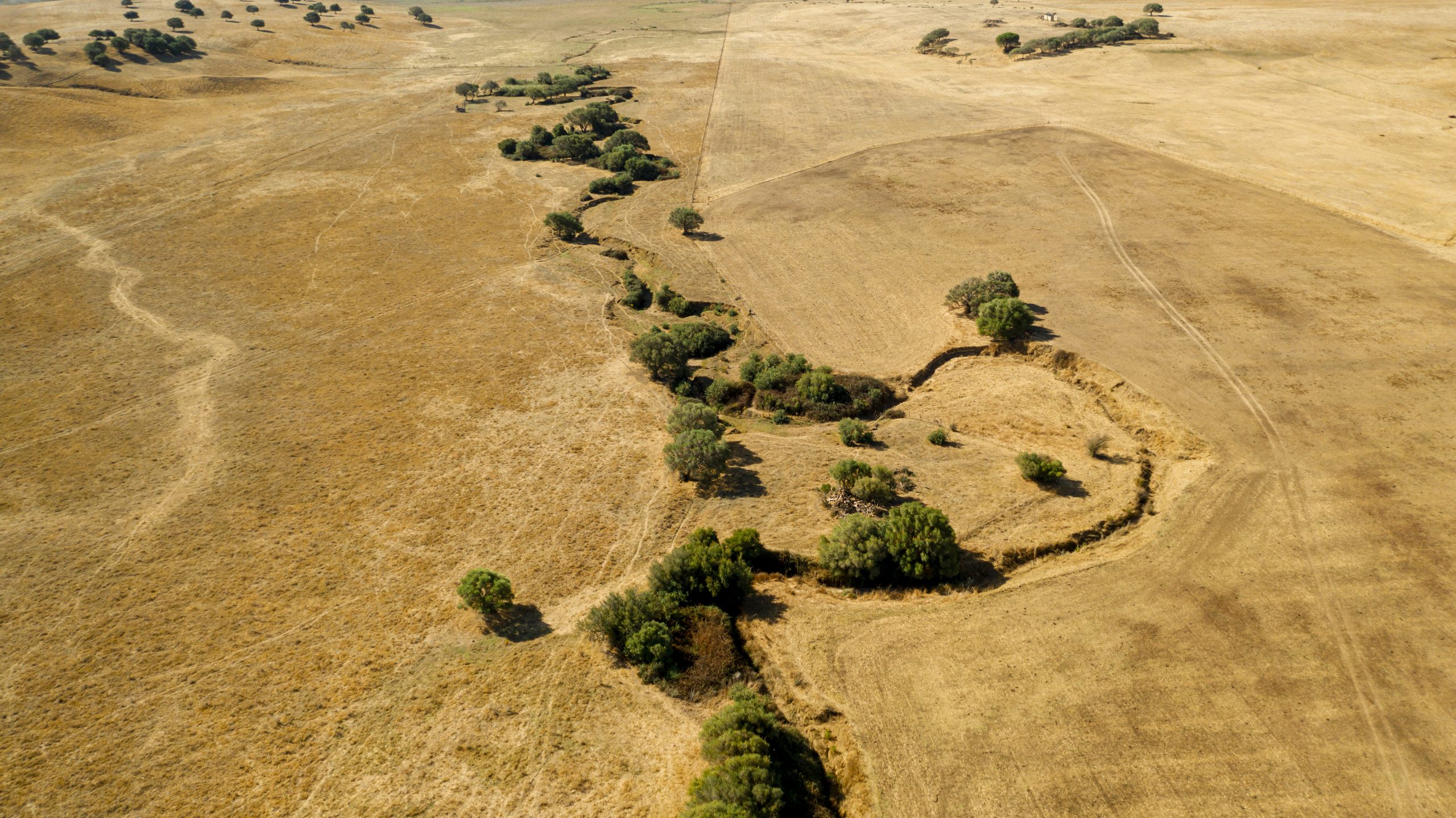 Danni da siccità, destinati 127 milioni di euro alle imprese agricole di Sud e Isole