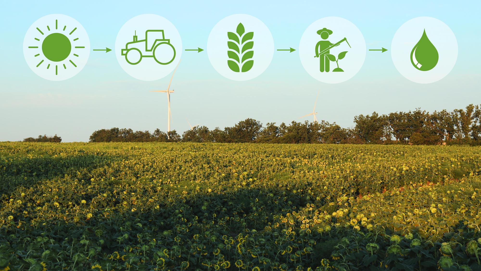 Agricoltura biologica rigenerativa, chi sono i vincitori di “The Good Farmer Award”