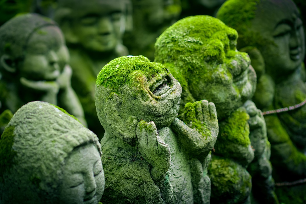 Green Social Impact: L’economia verde sta rallentando?