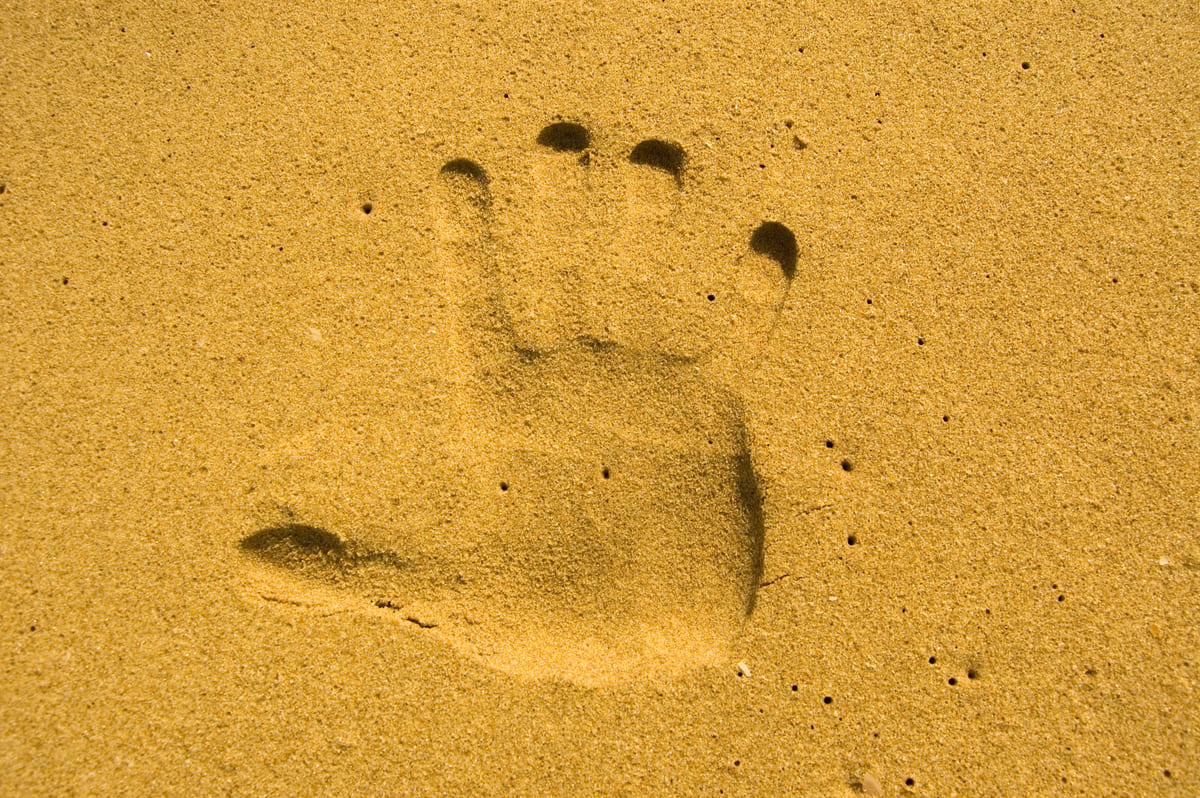 lotta alla desertificazione Cop16