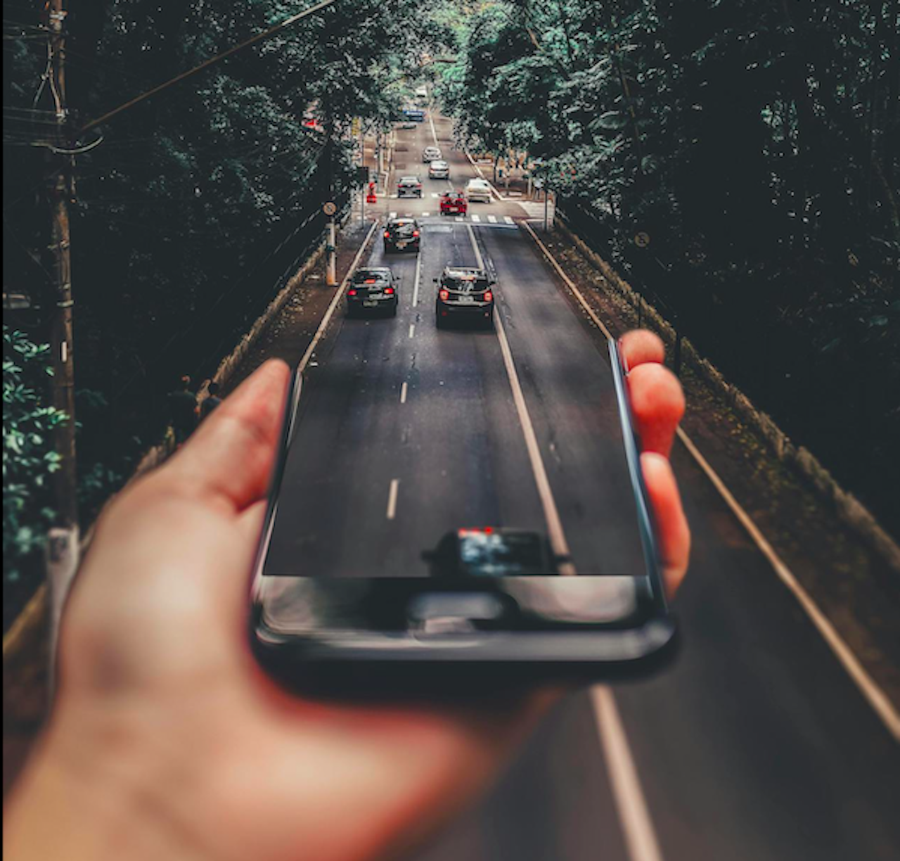 Sharing in Italia: oltre 81mila veicoli, solo il 9% di auto. Boom dell'acquisto usato