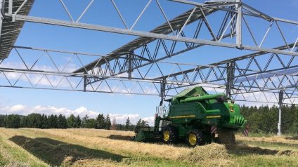 Rinnovabili • Sviluppo agrivoltaico, oltre 1,5 GW di richieste in posizione utile