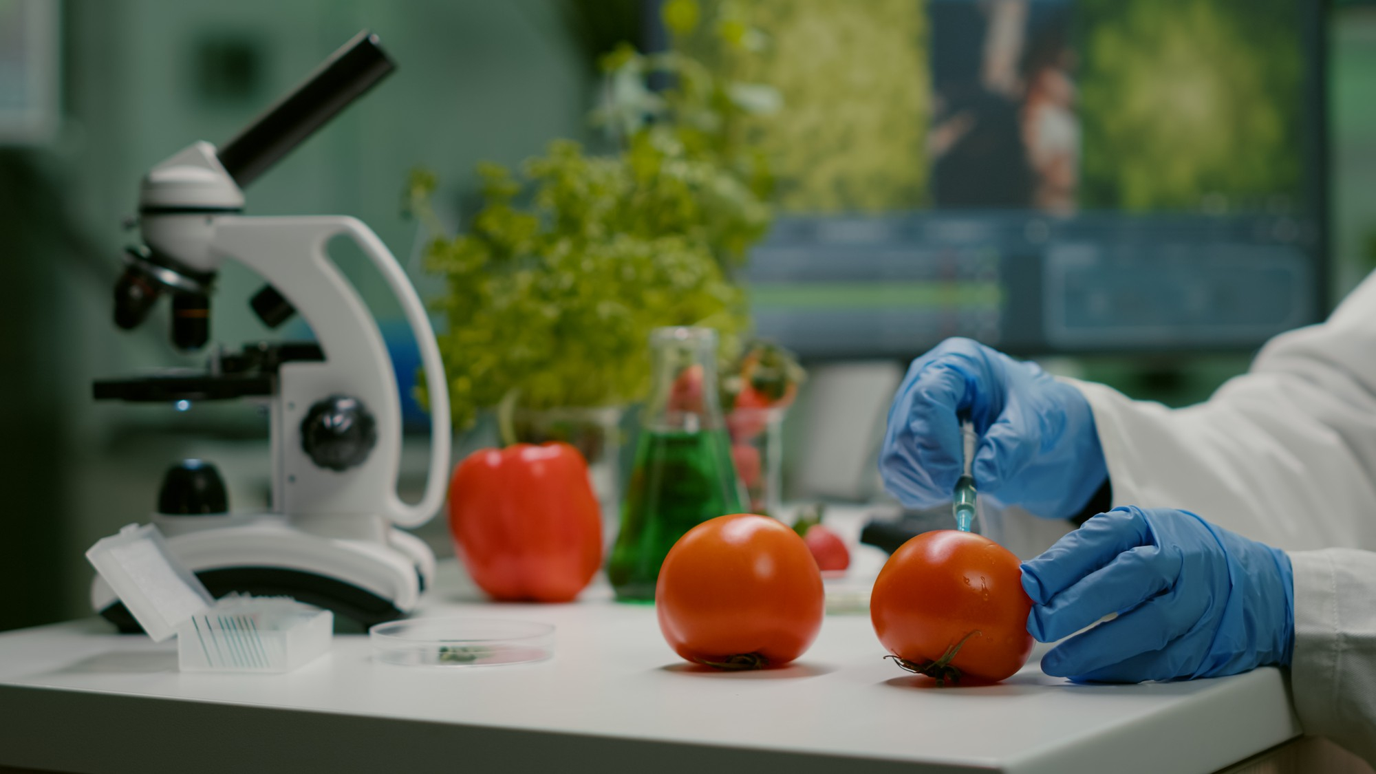 UE, nasce un nuovo hub di accelerazione per le startup agroalimentari