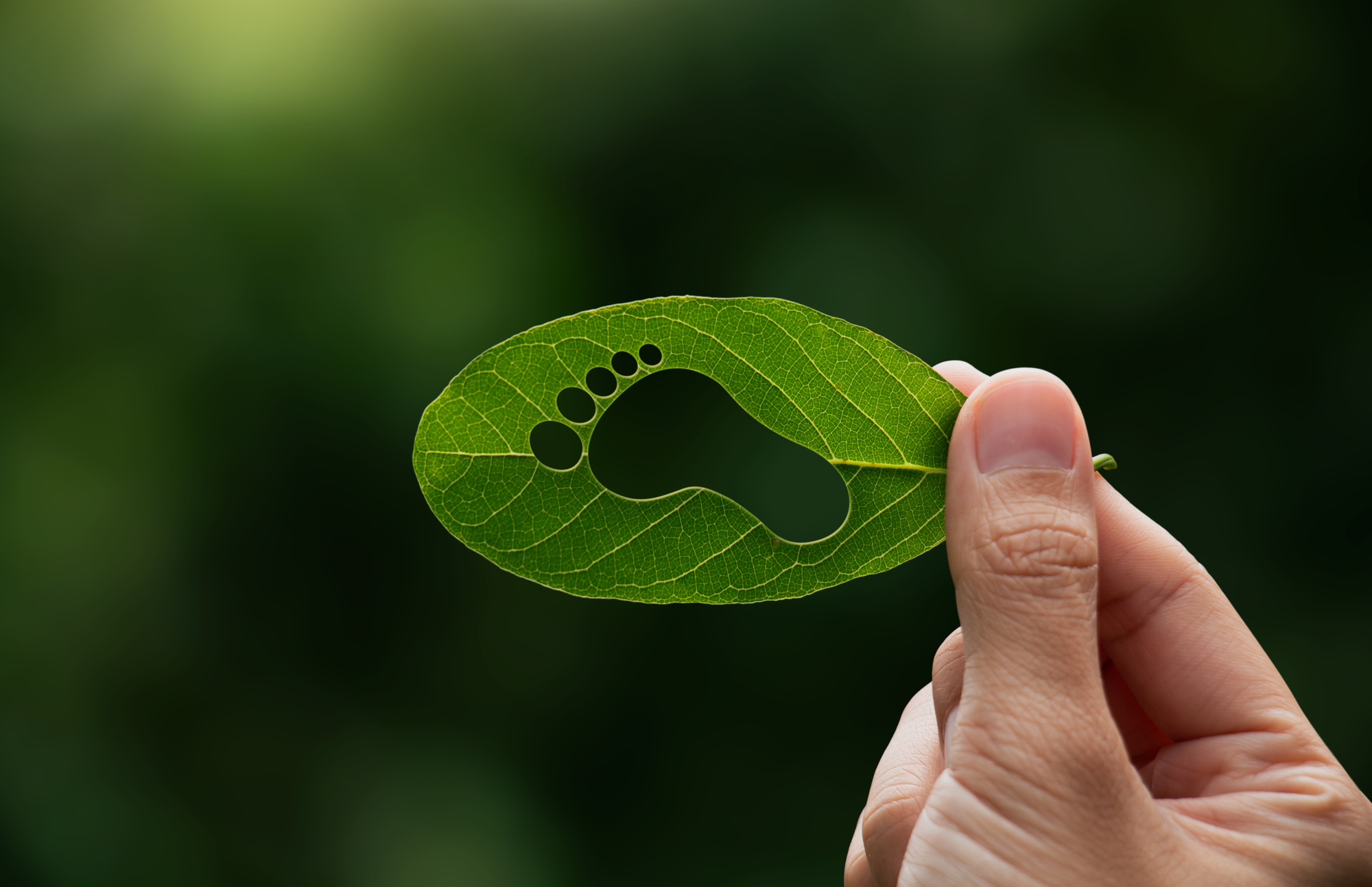 Certificazione Made Green in Italy: apre sportello contributi MASE