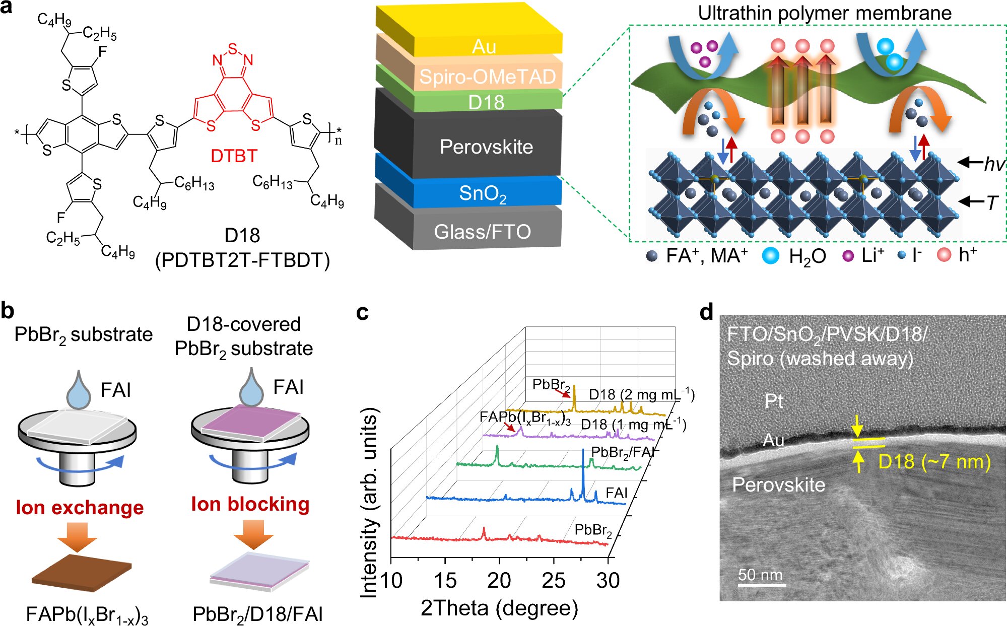Fotovoltaico in perovskite, il polimero D18 alza l'efficienza delle celle