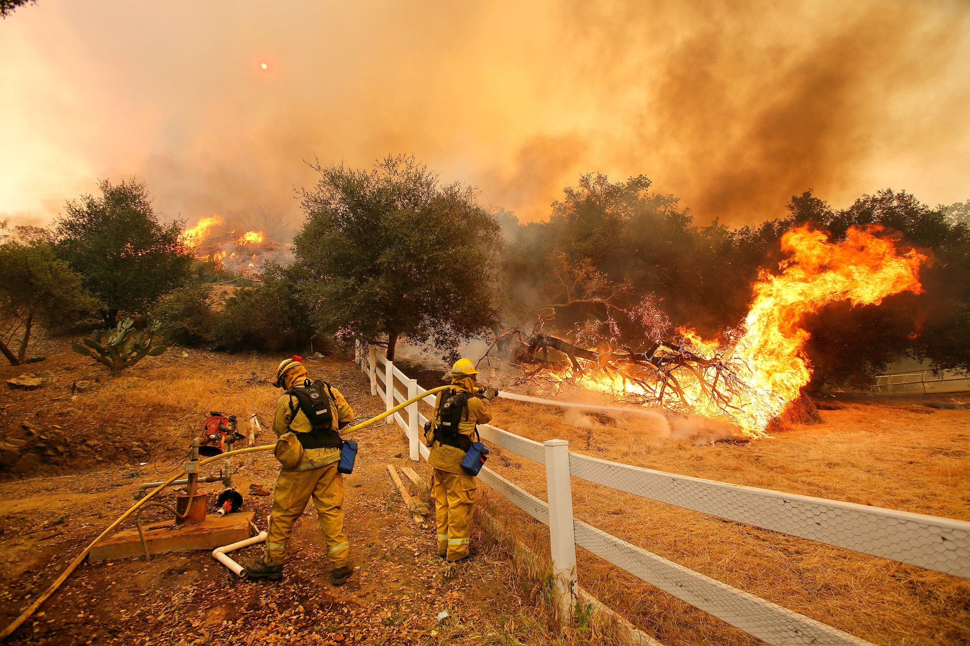 Incendi di Los Angeles: 35% più probabili per i cambiamenti climatici