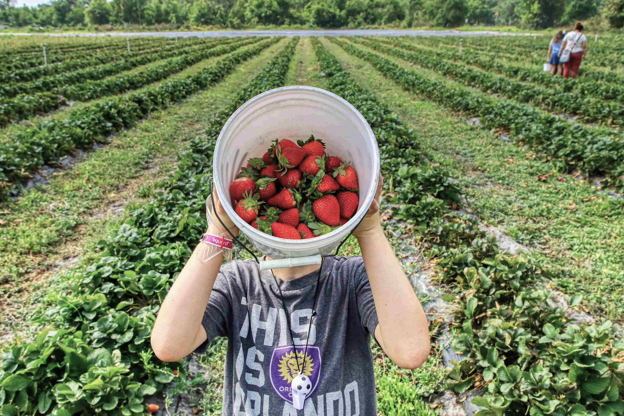 Foodmeter, autovalutazione di sostenibilità per filiere agroalimentari e consumatori