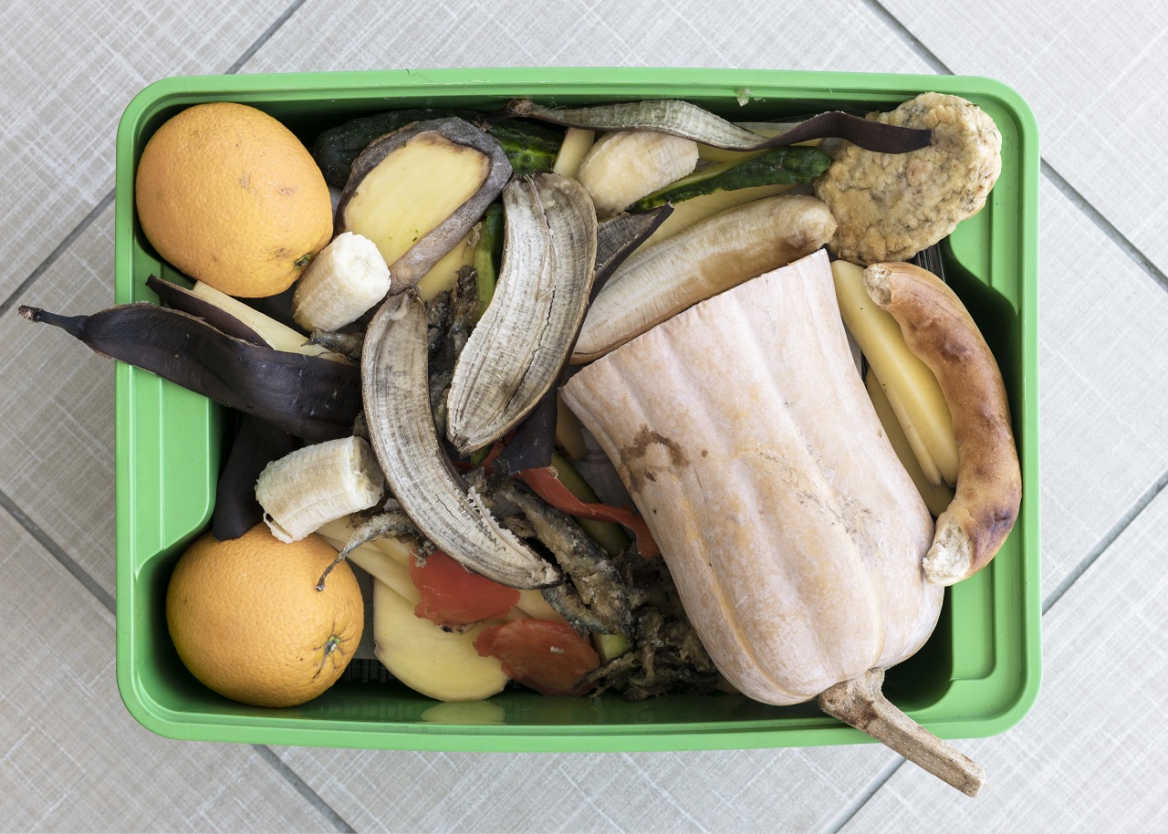 Spreco alimentare, aumenta del 46% il cibo buttato via: ecco come ridurlo