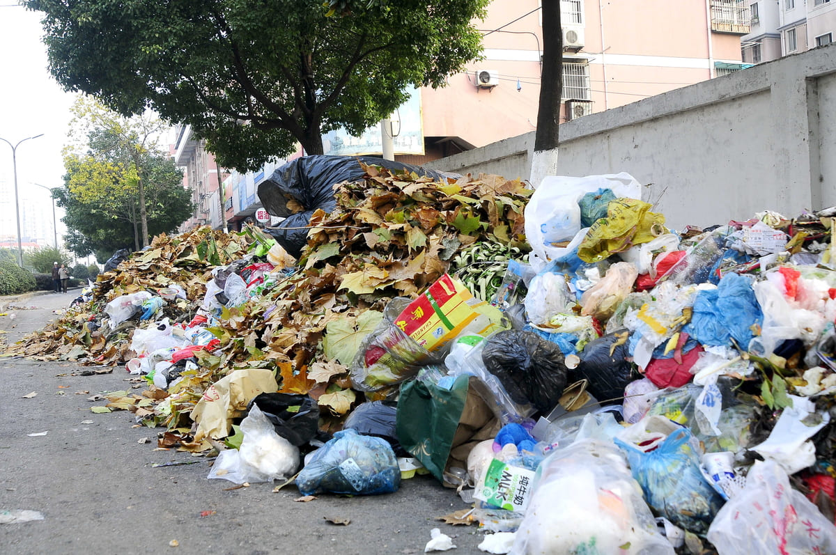 Terra dei Fuochi: CEDU condanna l’Italia