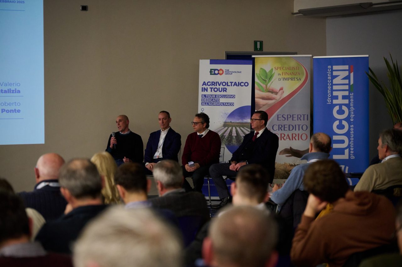 Rinnovabili • agrivoltaico