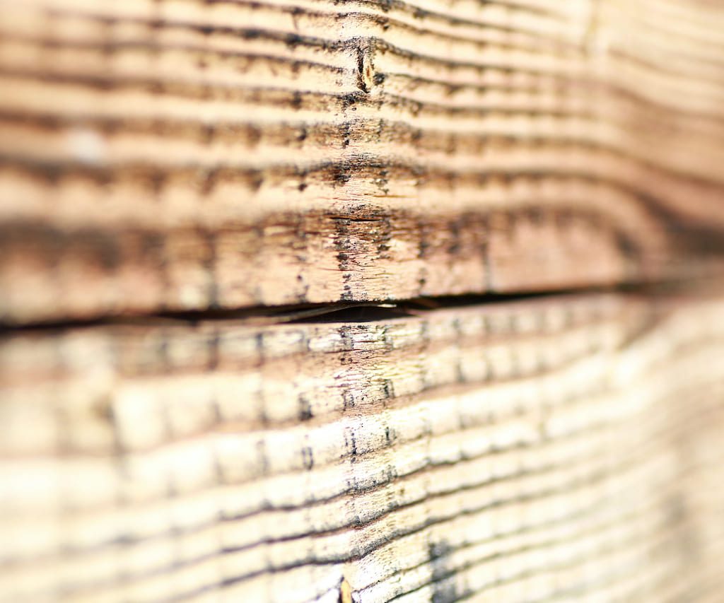 Legno ultraresistente, l’alternativa green all’acciaio