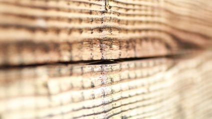 Rinnovabili • Legno ultraresistente, l’alternativa green all’acciaio