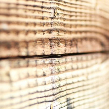 Rinnovabili • Legno ultraresistente, l’alternativa green all’acciaio