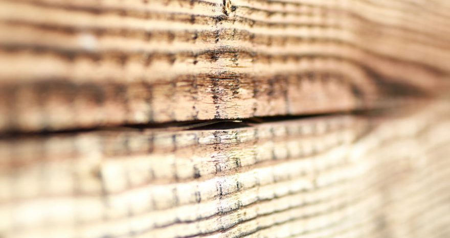 Rinnovabili • Legno ultraresistente, l’alternativa green all’acciaio
