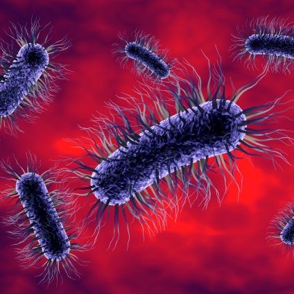 Rinnovabili • Resistenza antimicrobica: le microplastiche la aumentano