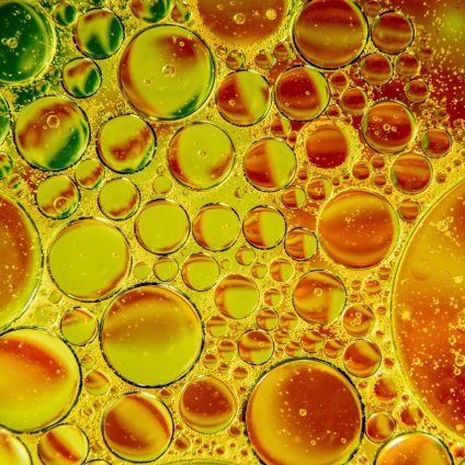 Rinnovabili • Oli vegetali esausti, il progetto WORLD sviluppa modello matematico per riciclo innovativo