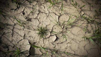 Rinnovabili • Risorse idriche: declino è “permanente” a causa del cambiamento climatico