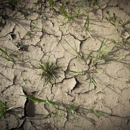 Rinnovabili • Risorse idriche: declino è “permanente” a causa del cambiamento climatico