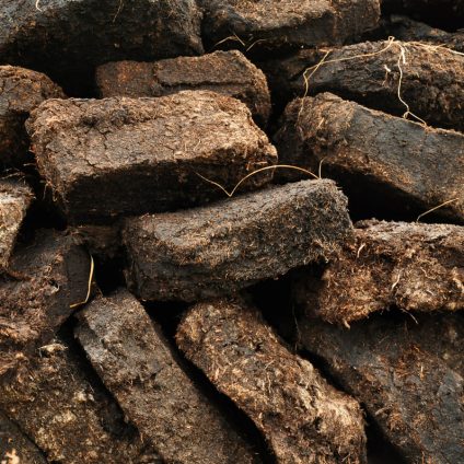 Rinnovabili • Torbiere: il potenziale nascosto nel sequestro di CO2 contro il cambiamento climatico