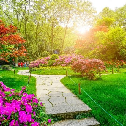 Rinnovabili • Bonus verde 2025: gli interventi su giardini, terrazzi e impianti di irrigazione detraibili