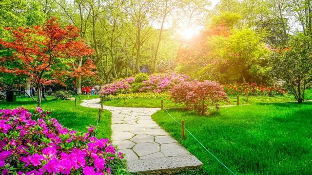 Rinnovabili • Bonus verde 2025: gli interventi su giardini, terrazzi e impianti di irrigazione detraibili
