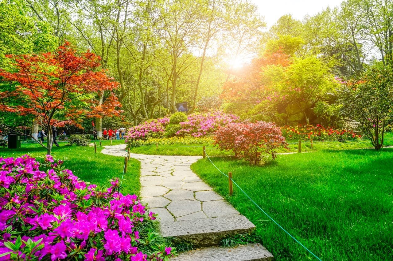 Rinnovabili • Bonus verde 2025: gli interventi su giardini, terrazzi e impianti di irrigazione detraibili