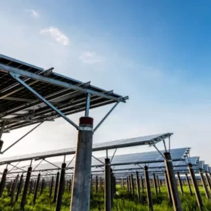 Rinnovabili • Agrivoltaico in Italia: numeri in crescita e benefici per l’agricoltura