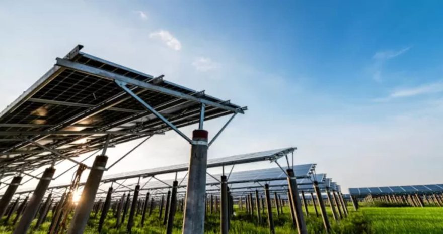 Rinnovabili • Agrivoltaico in Italia: numeri in crescita e benefici per l’agricoltura