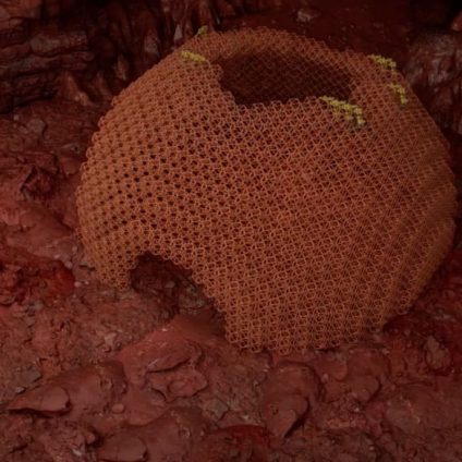 Rinnovabili • Materiali edili ecocompatibili: l’era dei blocchi modulari eco-voxel