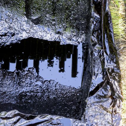 Rinnovabili • Assicurazione danni all’ambiente: solo 0,64% imprese italiane ha copertura completa