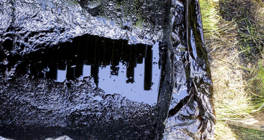 Rinnovabili • Assicurazione danni all’ambiente: solo 0,64% imprese italiane ha copertura completa