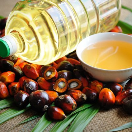 Rinnovabili • Biocarburanti: uso illecito dell’olio di palma in Europa?