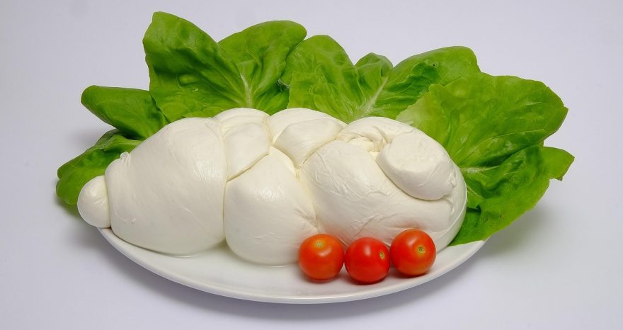 Rinnovabili • Tutela della legalità nell’agroalimentare, approvato il ddl dal Consiglio dei ministri