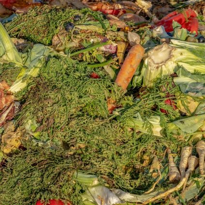 Rinnovabili • LANDFEED trasforma i rifiuti organici in fertilizzanti biologici