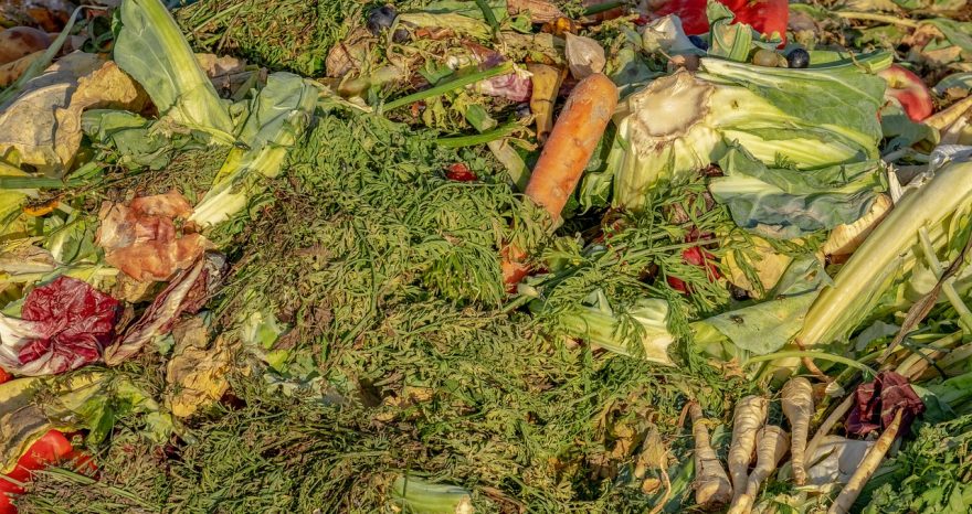 Rinnovabili • LANDFEED trasforma i rifiuti organici in fertilizzanti biologici