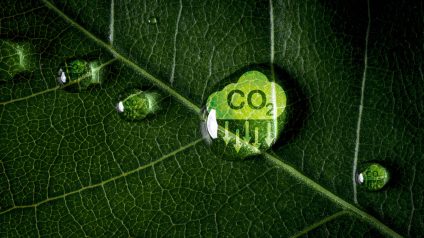 Rinnovabili • Crediti di carbonio per emissioni Scope 3: le nuove linee guida VCMI