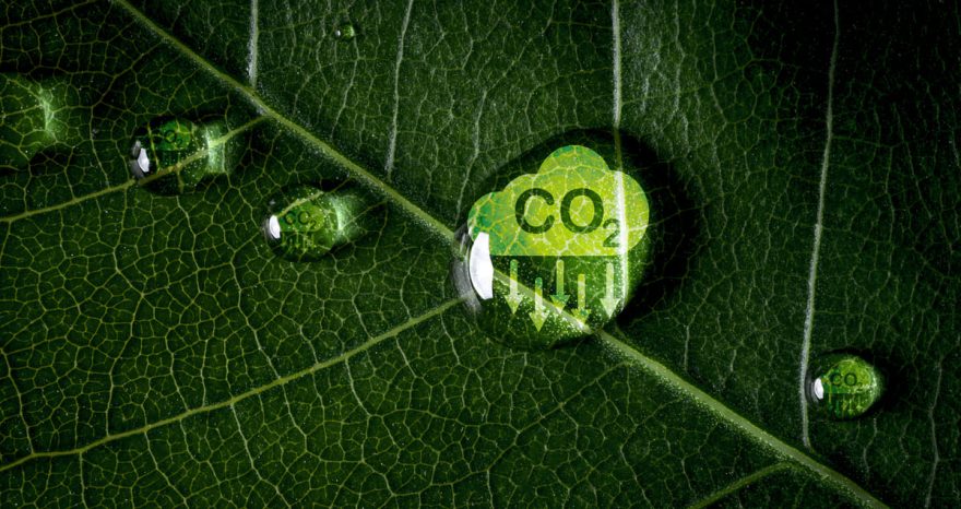 Rinnovabili • Crediti di carbonio per emissioni Scope 3: le nuove linee guida VCMI