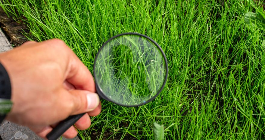 Rinnovabili • Direttiva Monitoraggio Suolo: nuovi obblighi, ma non vincolanti