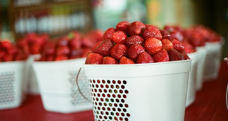 Rinnovabili • Le fragole durano più a lungo con il biofilm commestibile